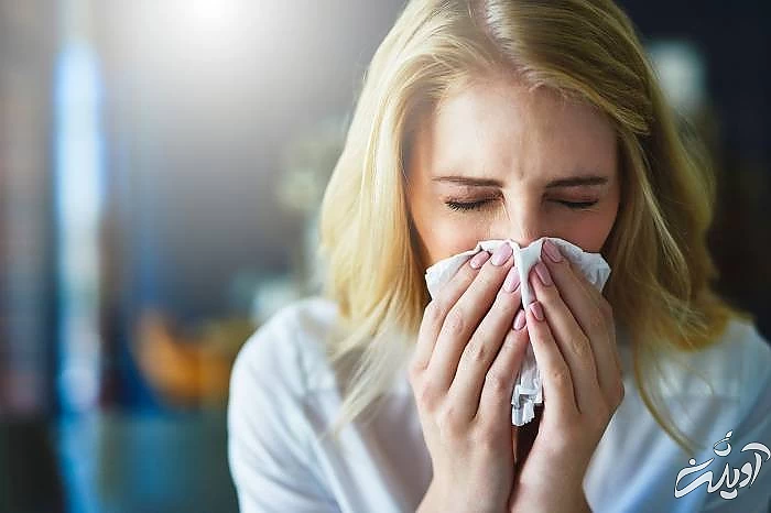 خواص نيش زنبورعسل